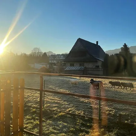 Mini-apartment Z Pieknym Widokiem Na Tatry Appartement